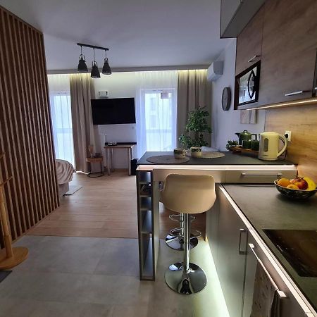 Malta Delux Apartment, Free Parking, Self Check-In 24H Poznań Kültér fotó